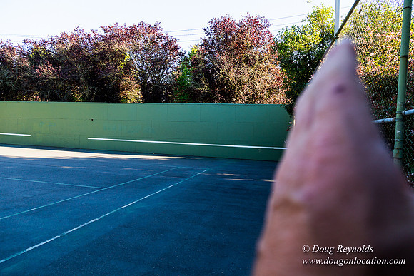 Kenilworth Courts