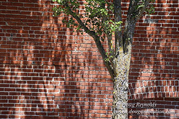 2nd St Hood River-7885