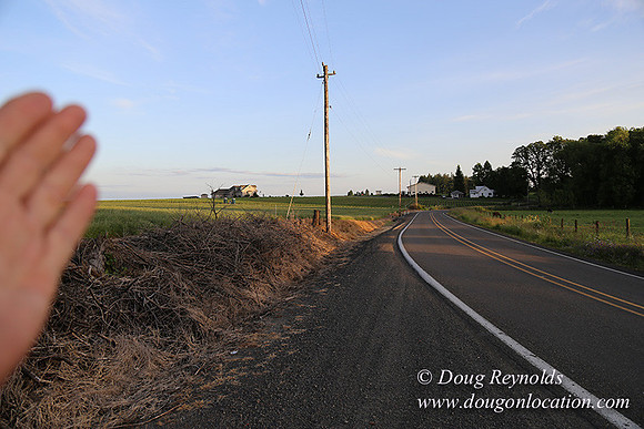Mountaindale Rd-6418