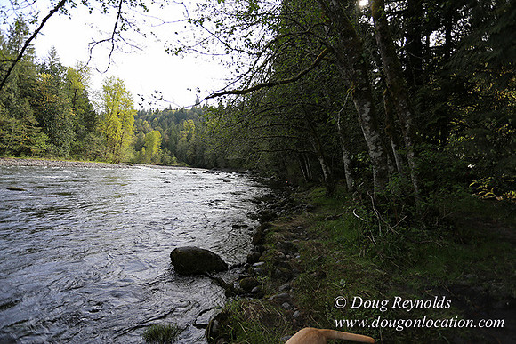 Brians River Side-0012