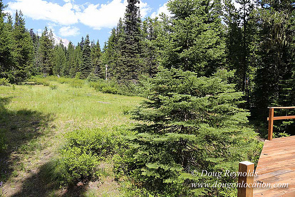 Jerry's Cabin-6683