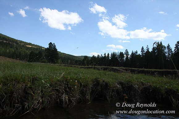 Ranch 18 South side of Hwy  has 2500 Acres of green fields Creeks water crossing Bridges on a Large Lake and miles of Dirt roads Oak trees  Forest land ATV Trails cows