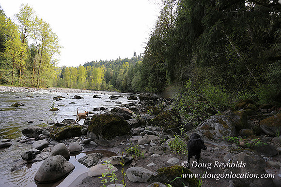 Brians River Side-0034