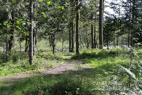 Brians River Side-9857