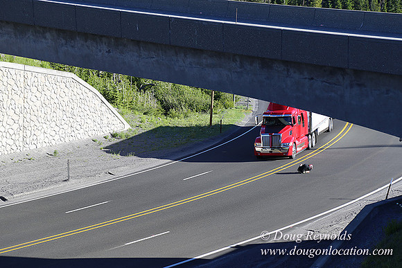 CMD Western Star Production Photo