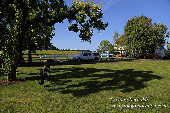 "2 Barns", "2 car garage", "40+ Acres", "PDX Zone", Pool, "White Fence", cows, "farm House", "rap around dive", "well maintained"