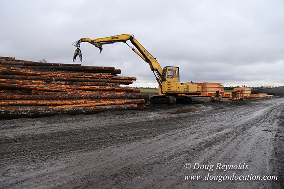 Saw Mill and Lumber Yard