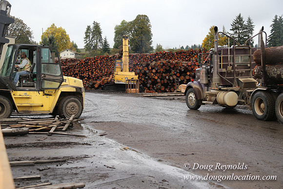 Saw Mill and Lumber Yard