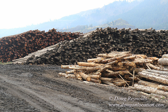 SDS Lumber-1419