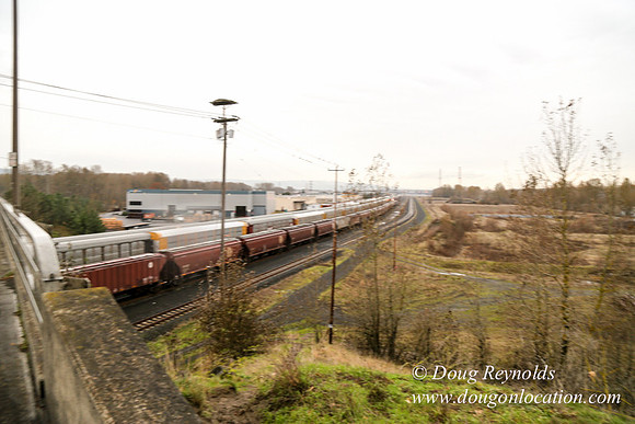 Marine Dr Overpass-5308