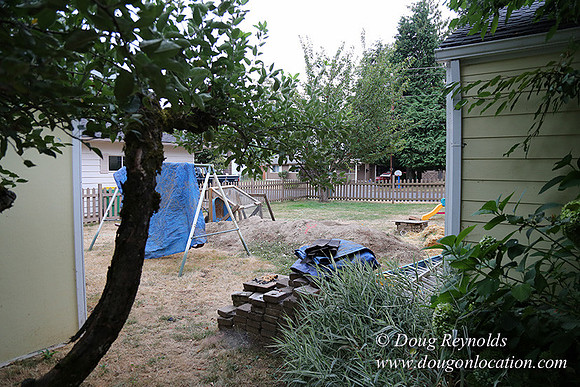 Nathan's Backyard-1734