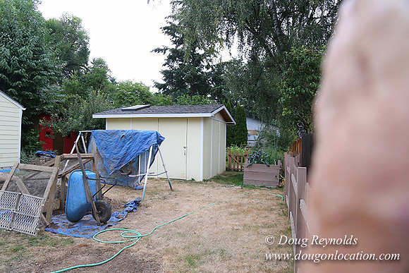 Nathan's Backyard-1752