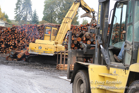 Saw Mill and Lumber Yard