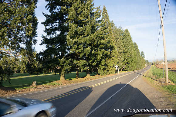 Kelso Rd W Driving E-3990
