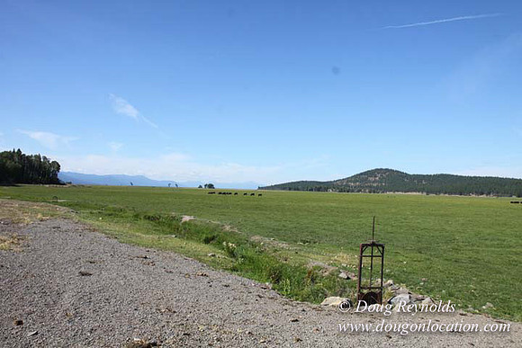 Ranch 18 South side of Hwy  has 2500 Acres of green fields Creeks water crossing Bridges on a Large Lake and miles of Dirt roads Oak trees  Forest land ATV Trails cows