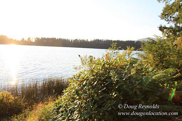 Boat, Cabin, Dock, "Doug's House lake", Home, WA, Washington, Yard, deck, "green. Beach"