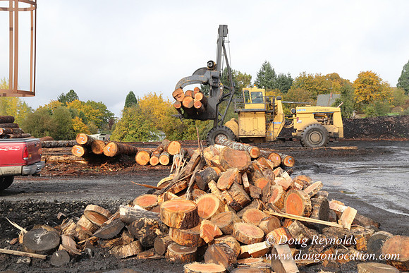 Saw Mill and Lumber Yard
