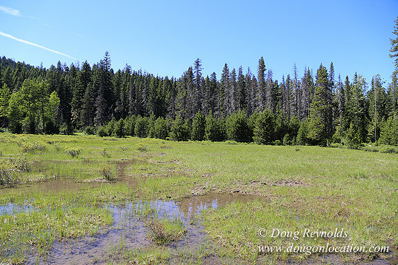 Frog Lake-3488
