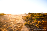 OPVPSBSP  Rock Coastal Area