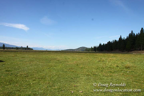 Ranch 18 South side of Hwy  has 2500 Acres of green fields Creeks water crossing Bridges on a Large Lake and miles of Dirt roads Oak trees  Forest land ATV Trails cows