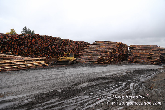Saw Mill and Lumber Yard