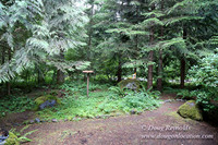 Gary's Cabin-7542