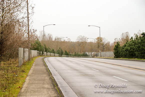 Marine Dr Overpass-5285