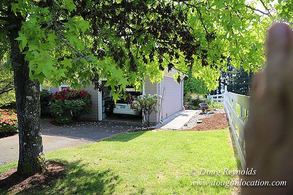 "2 Barns", "2 car garage", "40+ Acres", "PDX Zone", Pool, "White Fence", cows, "farm House", "rap around dive", "well maintained"