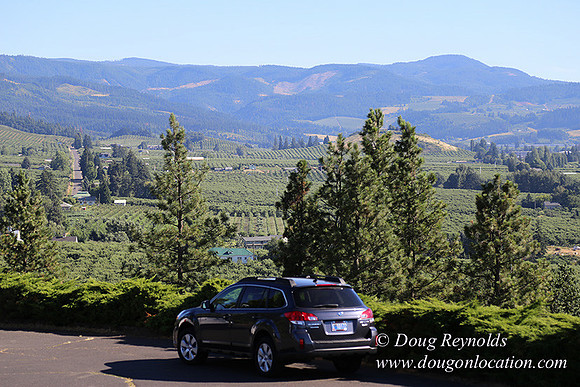 Panorama Point-8310