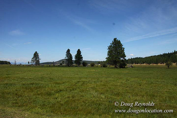 Ranch 18 South side of Hwy  has 2500 Acres of green fields Creeks water crossing Bridges on a Large Lake and miles of Dirt roads Oak trees  Forest land ATV Trails cows