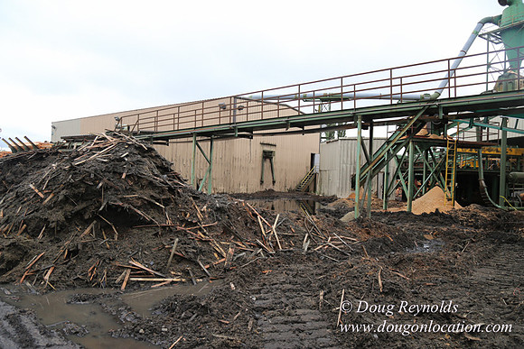 Saw Mill and Lumber Yard