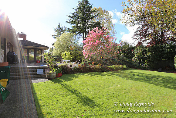 Mid Century Traditional Style Home, With a Basement, 2 car garage average sized Back Yard with Patio