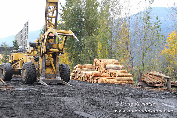 SDS Lumber-1377