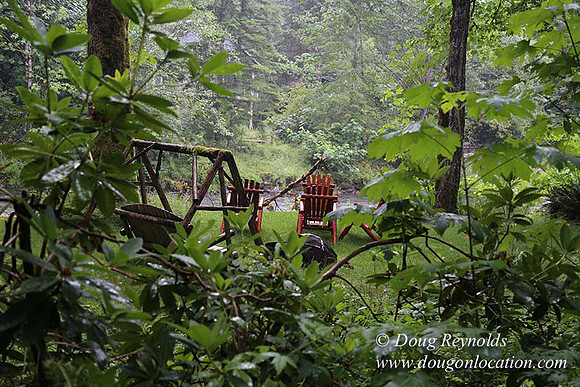 Small, Cabin, Home, River, OR, Oregon, Green, Yard,