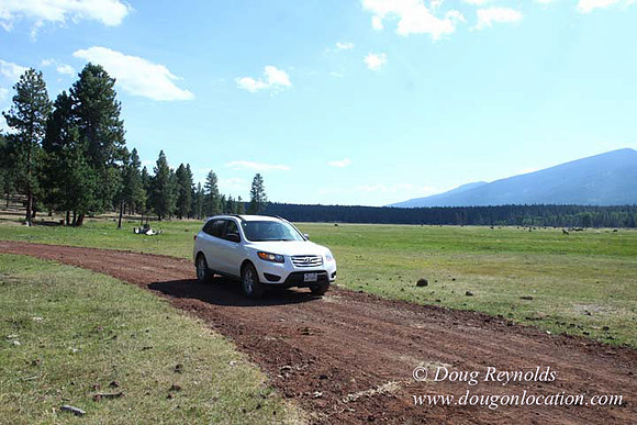 Ranch 18 South side of Hwy  has 2500 Acres of green fields Creeks water crossing Bridges on a Large Lake and miles of Dirt roads Oak trees  Forest land ATV Trails cows