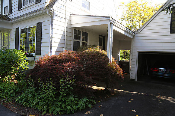Dale's Penny Ln-4959