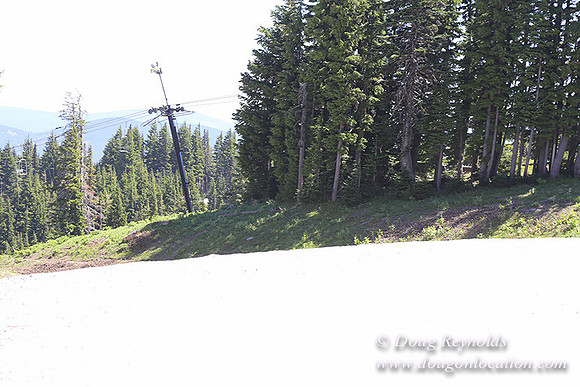 Medow's Snow-5783