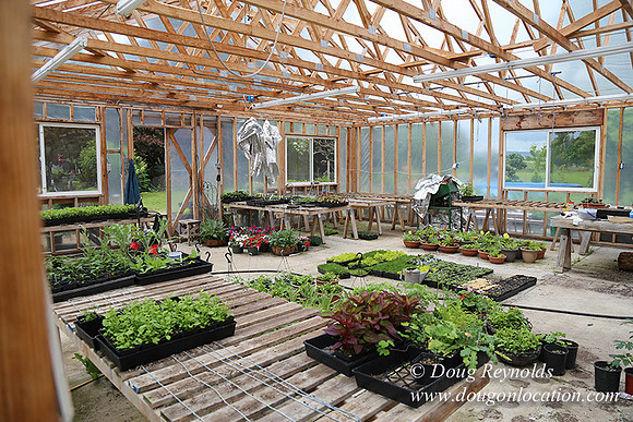 Shere's Garden Flowers & produce