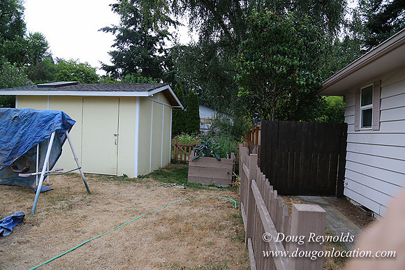 Nathan's Backyard-1725