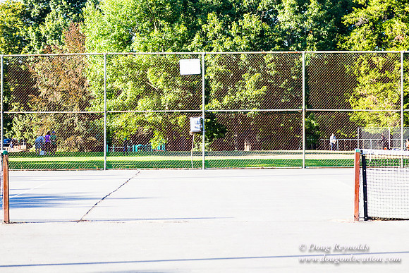 Kenilworth Courts