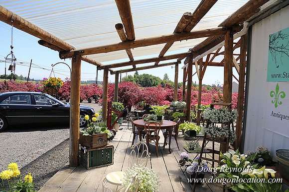 Little Door Farm Market-5407