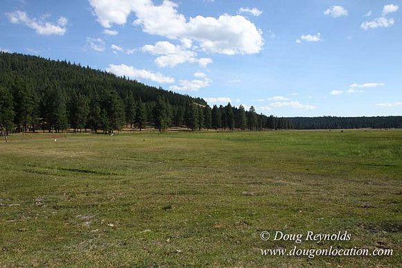 Ranch 18 South side of Hwy  has 2500 Acres of green fields Creeks water crossing Bridges on a Large Lake and miles of Dirt roads Oak trees  Forest land ATV Trails cows