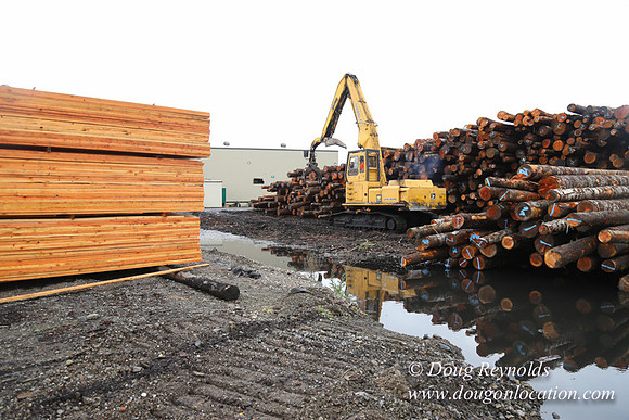 Saw Mill and Lumber Yard