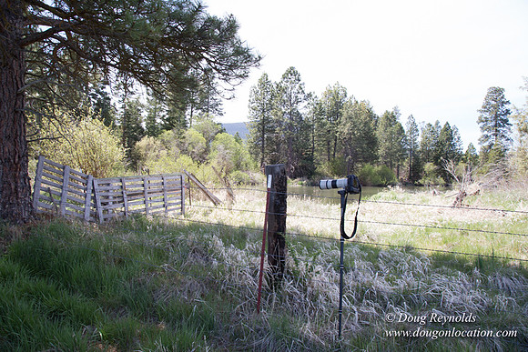 Ranch 18