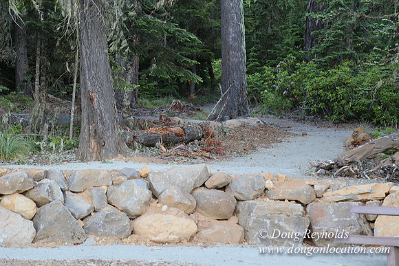 Timathy Lake-3909