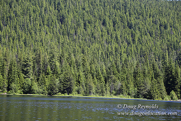 Trillium Lake-32003633