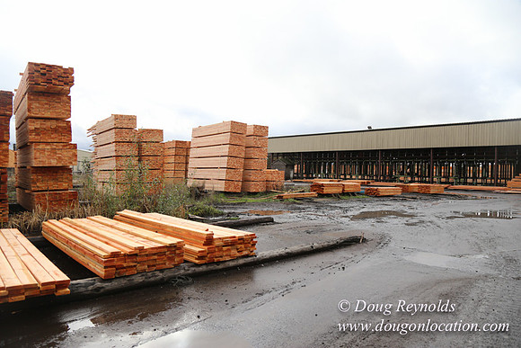 Saw Mill and Lumber Yard