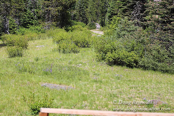 Jerry's Cabin-6671