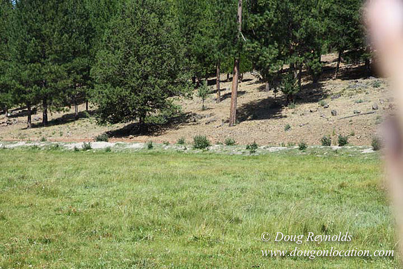 Ranch 18 South side of Hwy  has 2500 Acres of green fields Creeks water crossing Bridges on a Large Lake and miles of Dirt roads Oak trees  Forest land ATV Trails cows