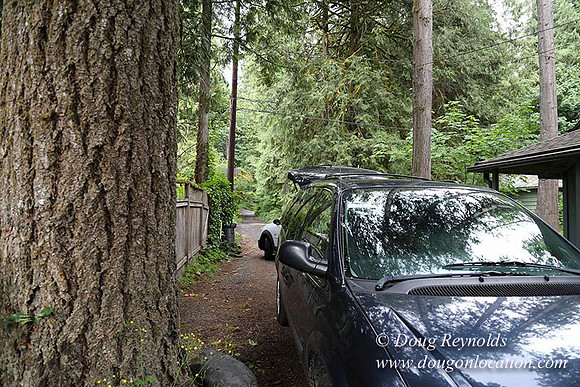 Small, Cabin, Home, River, OR, Oregon, Green, Yard,